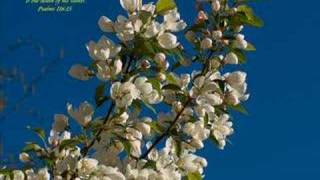 Newsboys - You Are My King