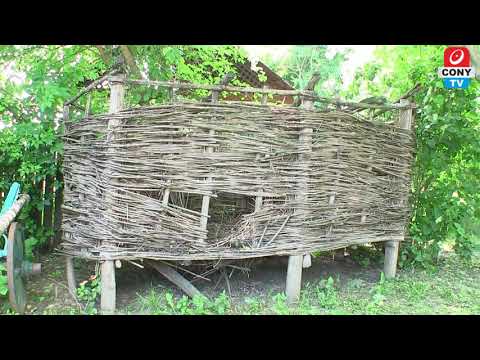 Muzeul Satesc - Casa Razesului