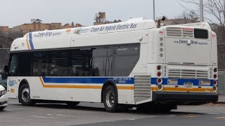 Bee Line Bus: PM Rush Action on Routes 4, 20, 60 and 61