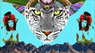 Monster Rally - Panther