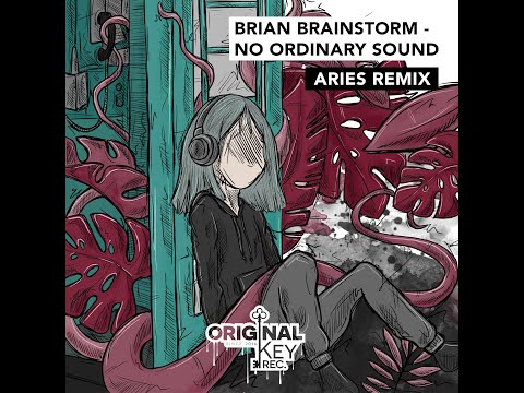 Brian Brainstorm - No Ordinay Sound (Aries Remix)