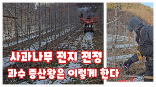 사과나무 전지 전정 가지치기 방법 충북 과수농업인대회 증산왕 괴산 가을농원 괴산 정보화 연구회 회원 농가 방…