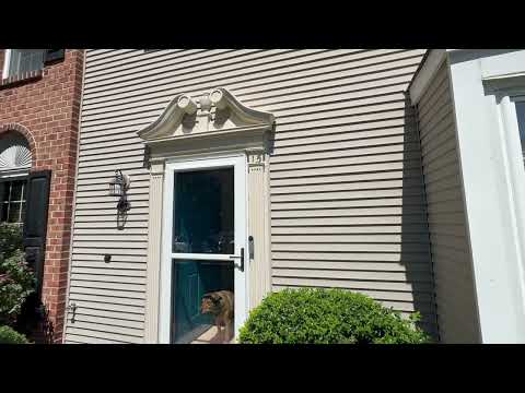 Yellow Jackets Residing in the Door Frame in Tinton Falls, NJ