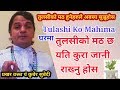 घरमा तुलसीकाे मठ छ साबधान यतीकुरा हरु�