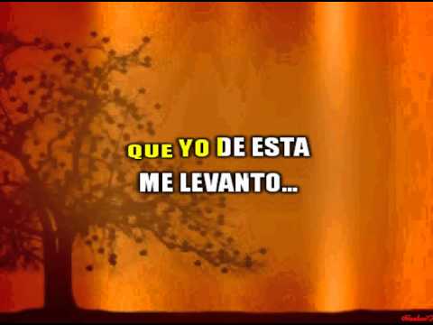 Fredy Zelada (M. Rivera y Bravo) - Mentiras (Karaoke)