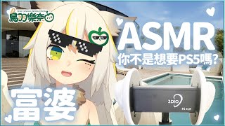 [Vtub] 緩和氣氛 來看貓頭鷹睡覺覺吧！[樂奈]