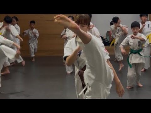 極真会‼️三日月🌙蹴りと死角回し蹴り
