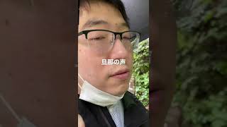 青森県　奥入瀬渓流　雲井の滝