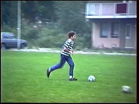 Terrasvogels 2 TRAINEN  WULVERDERLAAN SANPOORT