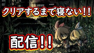 クリアするまで寝れません配信【深夜廻】