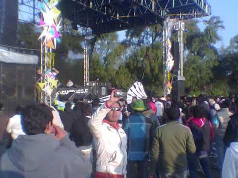 pixel vs domestic,vs shanti - floribella