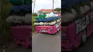 Download lagu STORY W.A tresno kepenggak morotuo. Versi l300 REA REO mp3