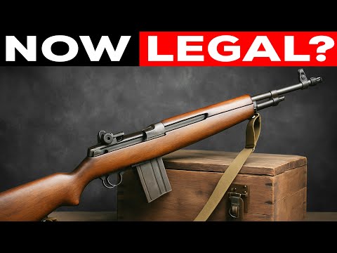 10 Military Surplus Rifles Civilians Can Grab in 2025 - #1 Will Blow Your Mind!