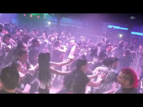 Rebel'd de punk en la boom