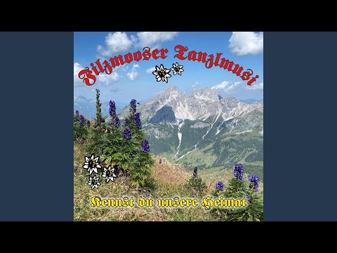 Ziachmusi Boarischer