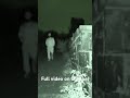 Random people walking in cemetery at night