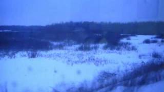 Carbon Based Lifeforms - Gryning