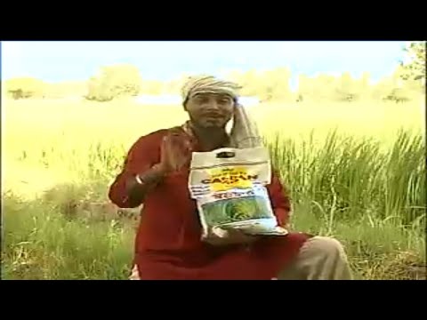 download lagu mp3 mp4 Caldon, download lagu Caldon gratis, unduh video klip Caldon