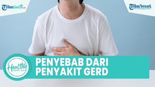 Apa Penyebab dan Gejala Penyakit GERD? dari Pola Makan Tidak Teratur hingga Sering Merokok