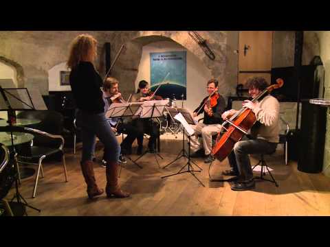 GAIA Festival 2013 | Report on Telebärn