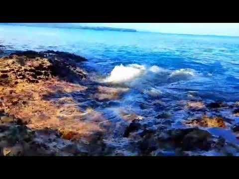 GIAMAN PORO -Deekey X Katzoo sounds