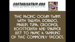 preview picture of video 'Golfito Costa Rica Fishing | Costaricatrip.org'