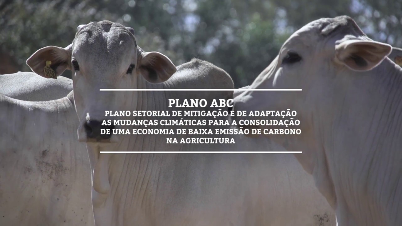 AGRICULTURA DE BAIXA EMISSÃO DE CARBONO - AÇÕES GOVERNAMENTAIS E POLÍTICAS PUBLICAS