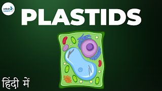Cells - Lesson 14 | Plastids - in Hindi (हिंदी में ) | Infinity Learn