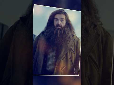 Nick Frost podría ser el nuevo Hagrid en la serie de HBO