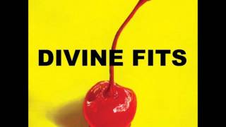 Divine Fits - The Salton Sea