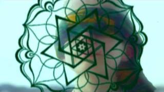 the truest whale - sail a whale (in re korallreven)