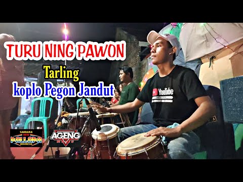 TURU NING PAWON Tarling - Koplo Pegon Jandut - (Official Live Music)