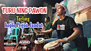 Download lagu TURU NING PAWON Tarling - Koplo Pegon Jandut - ( Live Music) mp3