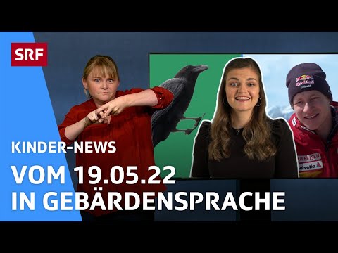 Schlaue Vögel & Überflieger Marco Odermatt | Kinder-News in Gebärdensprache | SRF Kids