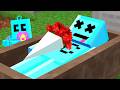 Craftee S Birth To Death In Minecraft