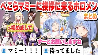 【凸待ち】ぺこらマミーに挨拶に来るホロメンまとめ【兎田ぺこら/ぺこらマミー/ホロライブ/切り抜き】
