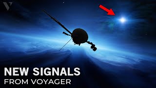Something Terrible Happened To Voyager In Its Final Moments. What Did It Find?