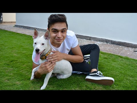 REUNITED WITH PUPPY AFTER 3 MONTHS!!