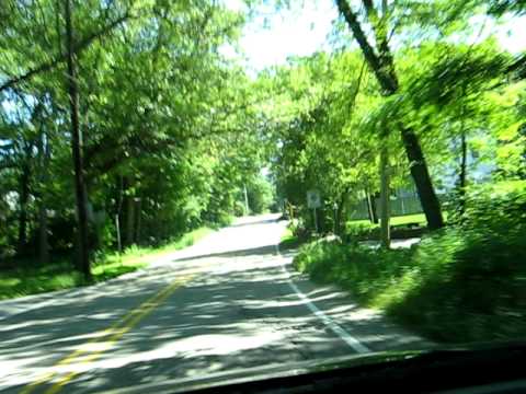 Drive on York Street -  New England geography and flora