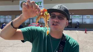 Weed Infused Pizza Review From The Mint Cannabis Dispensary In Tempe, AZ