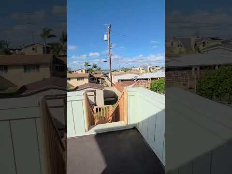 352 bonito - Video 2 of 2