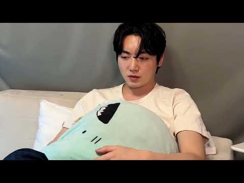 비디오 12