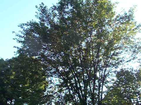 Prayer 49. Spoken words into FATHER GOD's children!