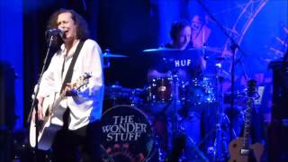 The Wonder Stuff - 30 Years In The Bathroom (live)