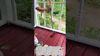 Deck Refinishing & Staining – Professional Application with Long Handle Roller