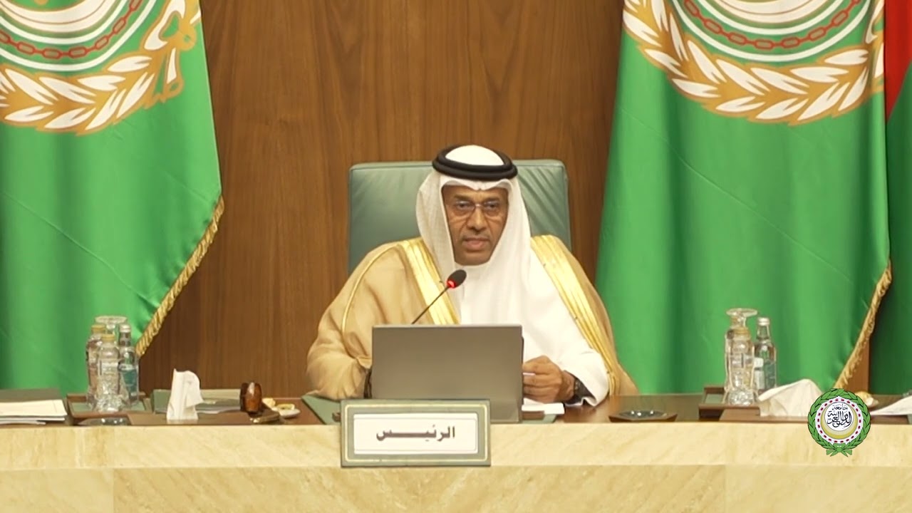 الدورة العادية (116) للمجلس الاقتصادي والاجتماعي على المستوى الوزاري – كلمة الرئاسة السابقة