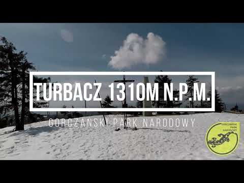 Turbacz 1310m n.p.m. Gorczański Park Narodowy