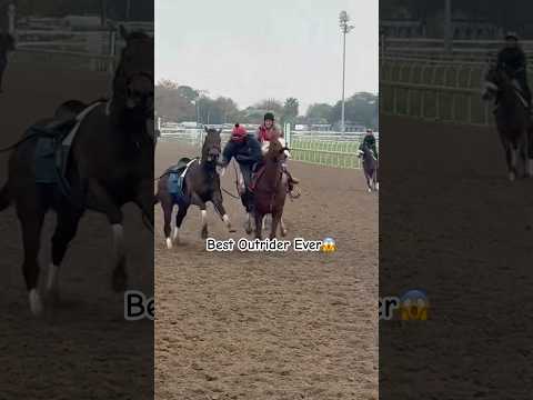 Best Outrider Ever! #amazing #horse #equestrian #fyp #viralshorts #horseriding ctto: kpetersen316