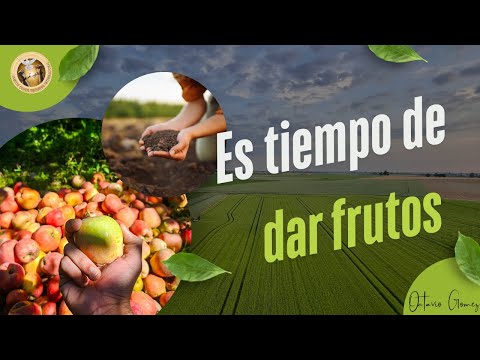 Pastor Octavio Gómez - Es Tiempo De Dar Frutos