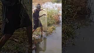 Download lagu Ngecrik nangkap ikan di Bendungan Jatigede #pedesaansumedang mp3